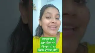Cancer, Scorpio, Pisces #watersigns #bangla #guidance #horoscope #love #work #tarot #astrology