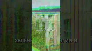 Как современные города могут вернуться к природе? #GreenCities #UrbanNature #FutureCities