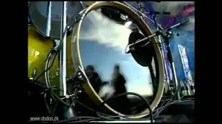 Dodo & The Dodos - Sømand Af Verden (LIVE)