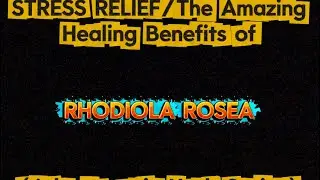 RHODIOLA ROSEA/Superstar STRESS RElief Adaptogenic Herb #health #godisgood #heart #Brain #strength 