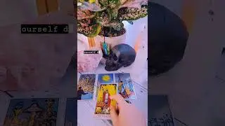 Tarot Spread for the New Moon ✨️#tarotspreads