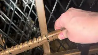 Review of Evenflo Position & Lock Baby Gate, Pressure-Mounted