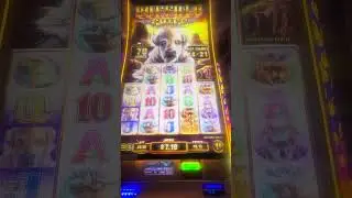 🎰BUFFALO 🦬 MACHINE 🎰RIVER CITY CASINO SAINT LOUIS MISSOURI 🆕AUGUST 2024