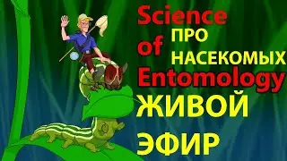 В мире насекомых. Удивительные насекомые. Вопросы и Ответы.