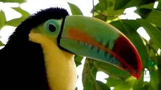 Bei uns im Papiliorama ist auch im Winter immer Sommer