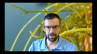 Larkin Starry stonewort 7 9 2025
