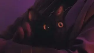 Purplecat  - ยังมีฉัน ft. JRAY, Mon Intherain
