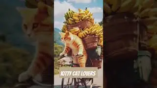 Cat selling banana 🤓🍌🍌#cat #kitty #banana #usa #uk #youtubeshorts #youtube #entertainment