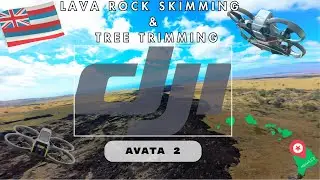 DJI Avata 2 Manual Mode: Lava Fields & Tree Gaps FPV