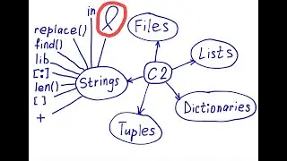 How to check a number in a list using a for loop in Python? Examples + exercises