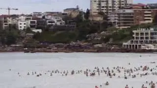 Bondi Pavilion & Bondi Icebergs