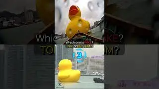 Truth or AI? Giant Duck Invasion 👁️