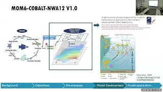 IACS Student Seminar: Xiangyan Yang