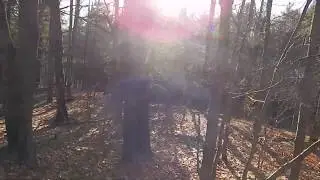 Two unmarked Native American graves NH
