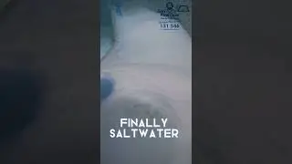 Benefits of a salt water pool! #jimspoolcare #satisfying #asmr #tipsandtricks