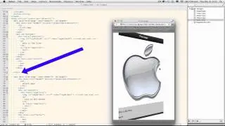Safari demo 2