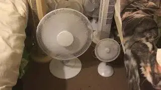 2017 Argos 7 inch desk fan VS Fine Elements 16 inch 3 in 1 desk and wall and pedestal fan