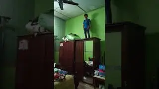 Flying fox fighting series2