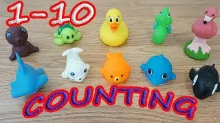 Sea Animal Counting from 1 to 10 - Learn Counting with Sea Animal Sliding!
