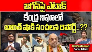Intelligence Shocking Report To Amith Shah About Jagan Stone Attak | AP Politics | Wild Wolf Telugu