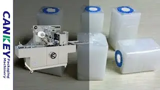 Automatic Camphor Tablets Packing Machine Hot Sale