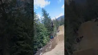 flipcan crabapple hits