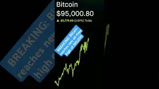 BREAKING: Bitcoin reaches new all-time high of $95,000 @paulhustles #bitcoin #bitcoinnews #crypto