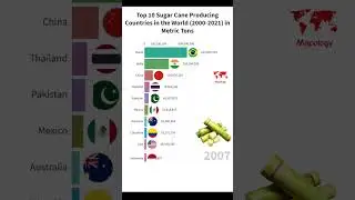 Top 10 Sugar Cane Producing Countries in the World