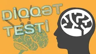 DİQQƏT TESTİ