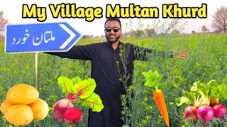 Multan Khurd | Mera Sona Goan | Village simple Life | Crops, Vegetables | Taman Multan Talagang