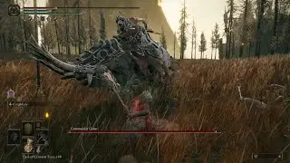 Gaius is a bit overhated