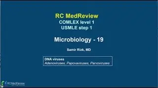 DNA viruses: Adenoviruses, Papovaviruses, Parvoviruses RC MedReview