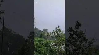 RAIN AND WIND NOISES #asmr #rain #raindrops #raindropsound #windy #758 #caribbean
