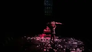 The Writer's Lament - 2019