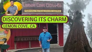 Lemon Cove, California 🍋 Discovering this small town's Charm