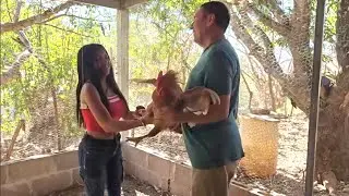 🛑Las chicas comprando gallinas🐓 en la granja de don chungo/El Buen Salvadoreño 