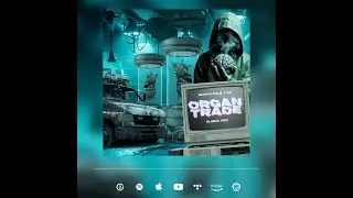 @NORTHPOLE7.62   & @BunnaRee  - Organ Trade (Official Audio)