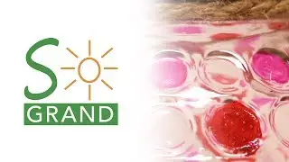 The Solar Inspired Grama&rsquo;s Candy Bowl Glass Jar by Sogrand
