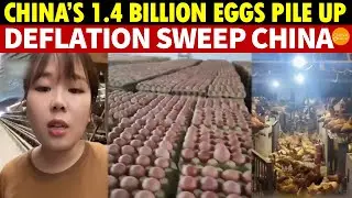 China&rsquo;s 1.4 Billion Eggs Pile Up, Prices Crash&mdash;Internal Competition and Deflation Sweep China