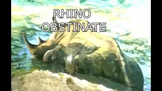 The obstinate Rhino a saving grace