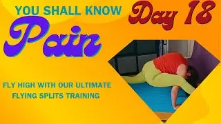 Make Your Flying Splits Dreams a Reality!  | You Shall Know Pain Day 18 #YogaChallenge #Day18