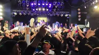 NOFX / murder the government   ~NOFX final tour 2024 Yokohama Bay Hall Japan~