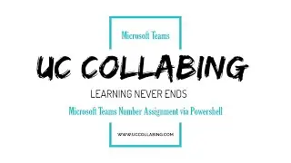 Microsoft Teams Users Number Assignment via Powershell