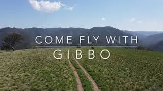 Come Fly With Gibbo - Nattai National Park
