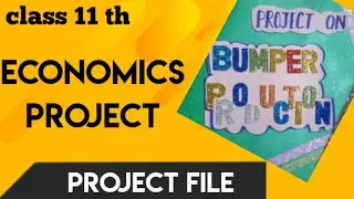 #commerce#project#Economics#Economic's #project #Bumper #Production #class11th #projectfile