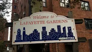 The Rise and Fall of CMB & LG ( Lafayette Gardens ) : A True Brooklyn Tale