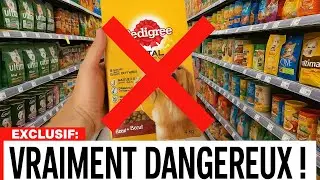 8 DOG FOODS YOU SHOULD AVOID AT ALL COSTS