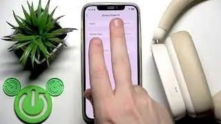 Baseus Bowie H1 &ndash; How to Set Device Type on iPhone