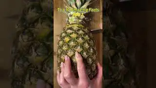 Top 10 Surprising Facts about Food #foodfacts #foodiechronicles #shortvideo #recipes #recipes