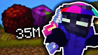Is Barbarian Duke still INSANE for money?.. Skyblock Stonks #5 (Hypixel Skyblock)